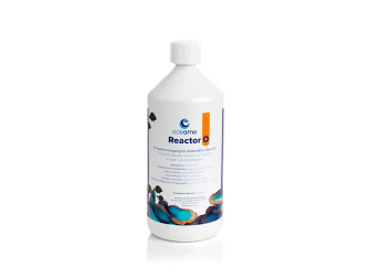 Reattore O 1000 ml Oceamo