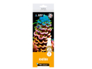 Iodide - 24 Shots x 20 ml AQUARIUM SYSTEMS