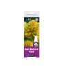 Bacteria Food - 24 Shots x 20 ml AQUARIUM SYSTEMS
