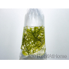 Caulerpa lentillifera Klein