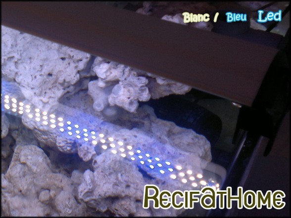 AQUAVIE Lumivie RAL G2 RGB rampes LEDs avec spectre pour aquarium