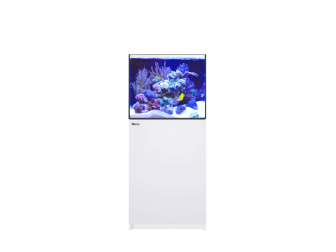 REEFER G3 XL 200
