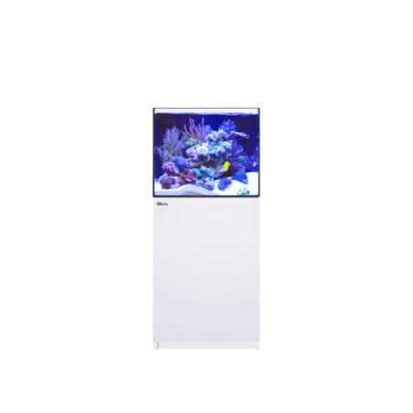 REEFER G3 XL 200