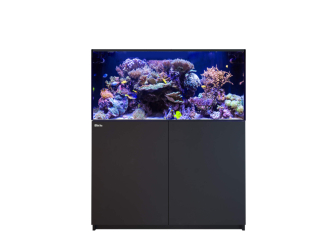REEFER G3XL 425