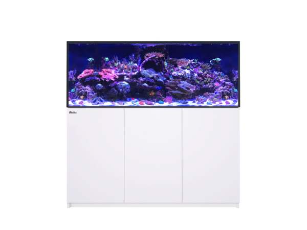 Reefer G3 XL 625
