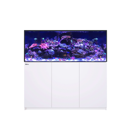 Reefer G3 XL 625