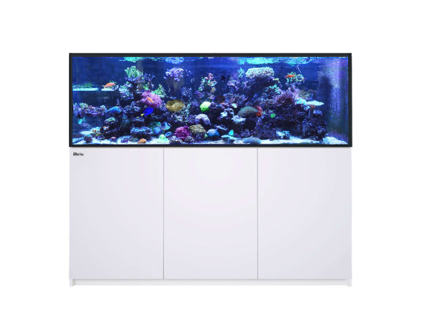 REEFER G3 XXL 750