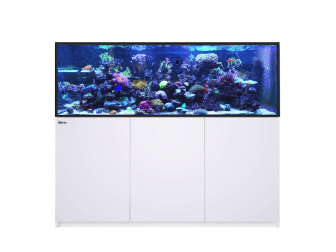 REEFER G3 XXL 750