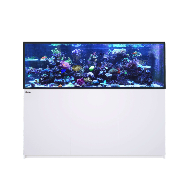 REEFER G3 XXL 750