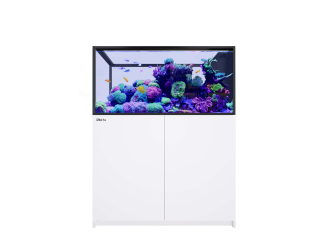 Peninsula G3 500 aquarium Redsea