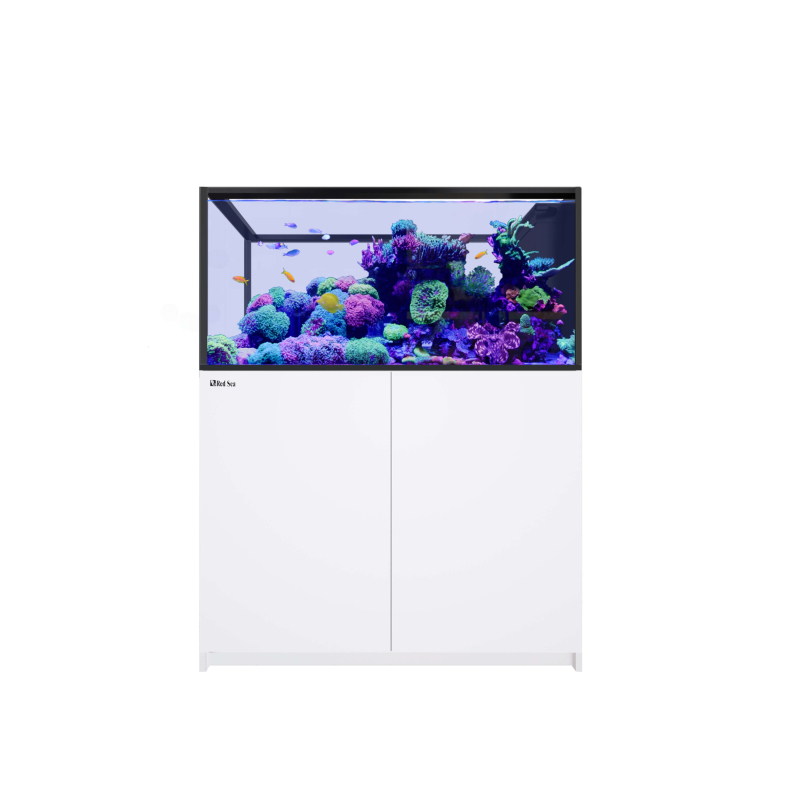 Peninsula G3 500 aquarium Redsea