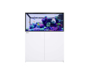 Peninsula G3 500 aquarium Redsea