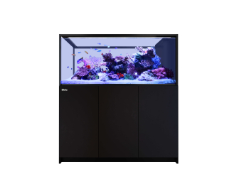 Peninsula G3 S-700 Redsea