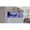 Peninsula G3 S-950 aquarium Redsea