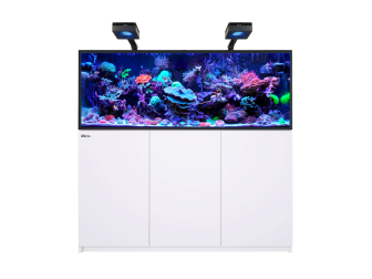 REEFER G3XL 525