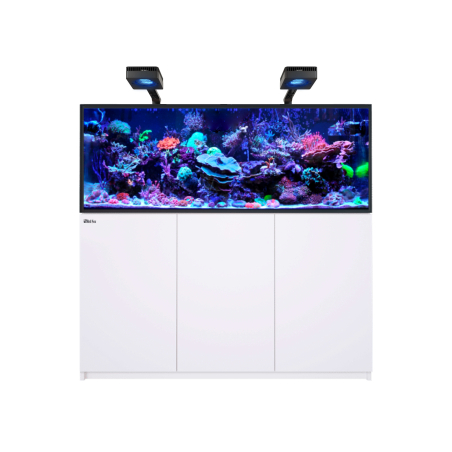 REEFER G3XL 525