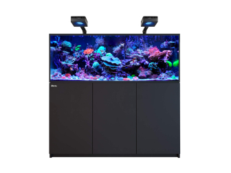 REEFER G3XL 525