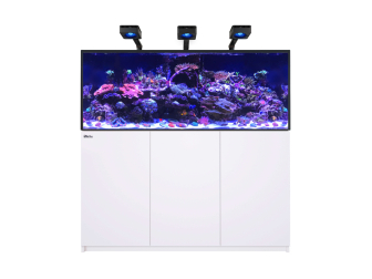 Reefer G3 XL 625