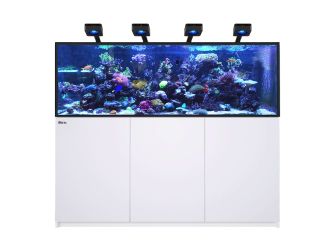 REEFER G3 XXL 750