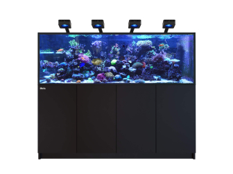 REEFER G3 XXL 750