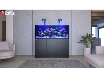 REEFER G3 XXL 750