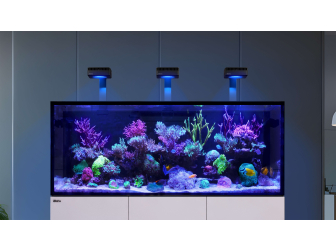 REEFER G3 XXL 750