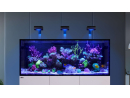 REEFER G3 XXL 750