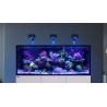 REEFER G3 XXL 750