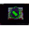 WYSIWYG - RAH Goniastrea UFO 3H6