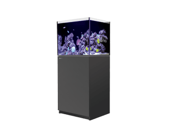 REEFER 170 REDSEA 130 litres équipé