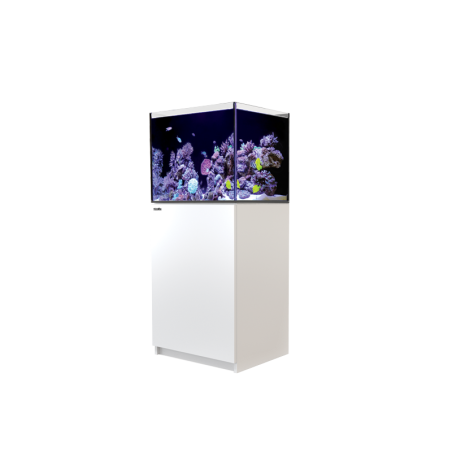 REEFER 170 REDSEA 130 litres équipé