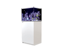 REEFER 170 REDSEA 130 litres équipé