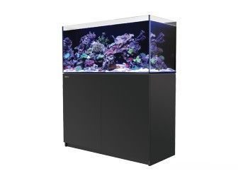 REEFER 350