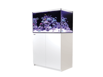 REEFER 250 REDSEA 204 litres 