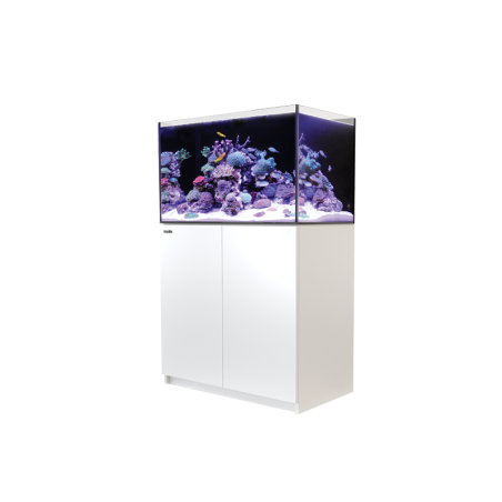 REEFER 250 REDSEA 204 litres 