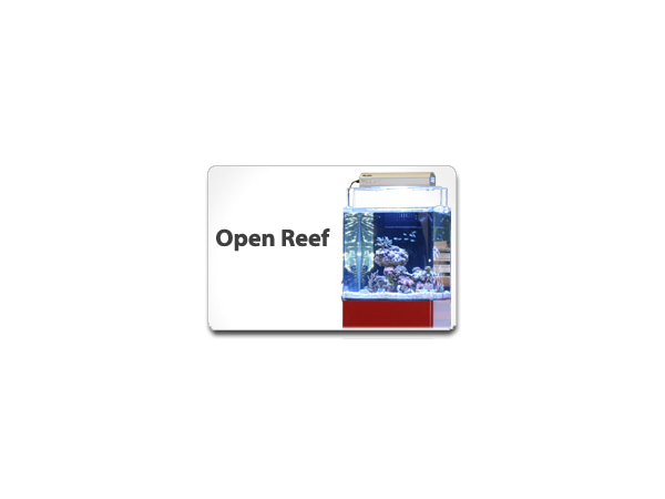Blau 90 Open reef équipé eau de mer Blanc