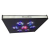 AsAqua Max 30 led 