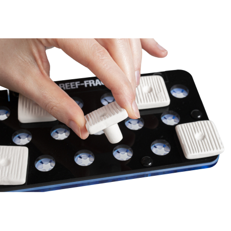 ARKA® myRécif - CoralPlots square 27 mm - 12 pieces ARKA