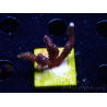 WYSIWYG Montipora Polype Violet