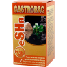 GASTROBAC Esha 20ml