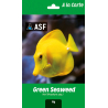 A la Carte Green Seaweed Aquarium systems