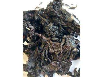 A la Carte Green Seaweed Aquarium systems