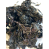 A la Carte Green Seaweed Aquarium systems