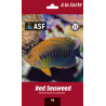 A la Carte Red Seaweed Aquarium systems