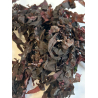 A la Carte Red Seaweed Aquarium systems