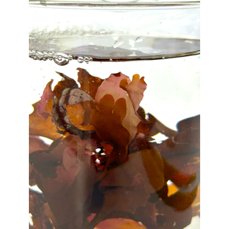 A la carta Reefmist Plancton 30g AS Nuevo