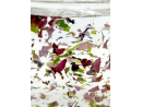 A la carta Reefmist Plancton 30g AS Nuovo