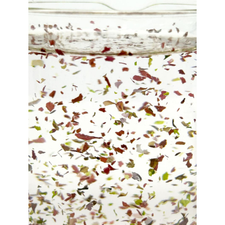 A la carte Reefmist Plancton 30g AS Nouveau