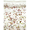 A la Carte Tri-Algae Mix MINI Aquarium systems