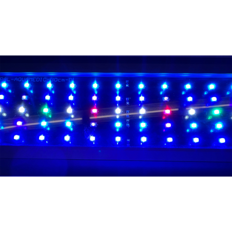 Sunbeam 30 Aquamedic